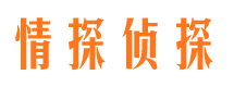 宁化寻人公司